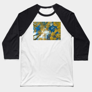 Looking Up At Blue Sky Through A Canopy Of Fall Colored Aspen Trees Baseball T-Shirt